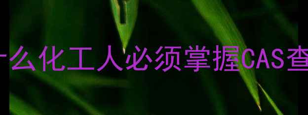 图片 🔍为什么化工人必须掌握CAS查询？2.jpg