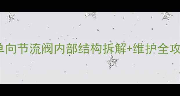 图片 🔍化工设备必看｜单向节流阀内部结构拆解+维护全攻略（附选型指南）2.jpg