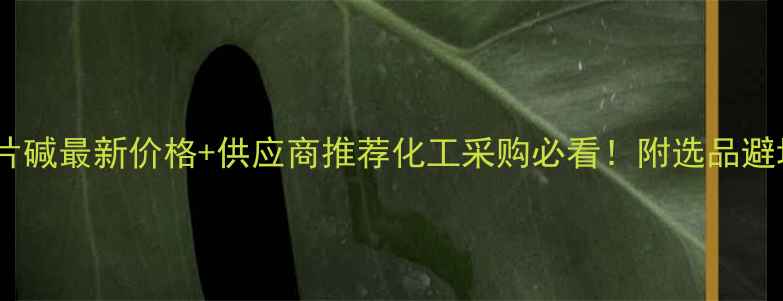 图片 🔍镇江片碱最新价格+供应商推荐化工采购必看！附选品避坑指南1.jpg