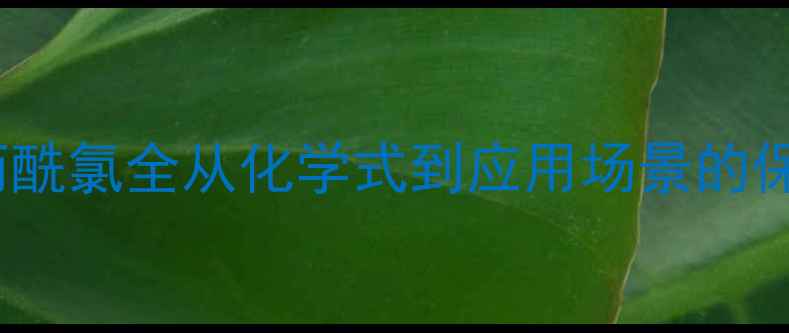 图片 🔥2-甲基丙酰氯全从化学式到应用场景的保姆级指南2.jpg