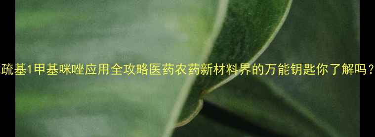 图片 🔥2疏基1甲基咪唑应用全攻略医药农药新材料界的万能钥匙你了解吗？✨.jpg