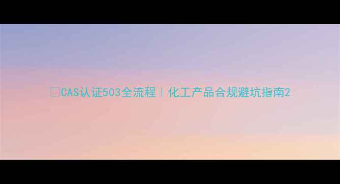 图片 🔥CAS认证503全流程｜化工产品合规避坑指南2.jpg