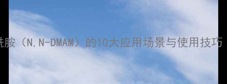 图片 🔥二甲基丙烯酰胺（N,N-DMAM）的10大应用场景与使用技巧（附安全指南）.jpg