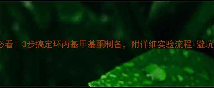 图片 🔥新手必看！3步搞定环丙基甲基酮制备，附详细实验流程+避坑指南💡2.jpg