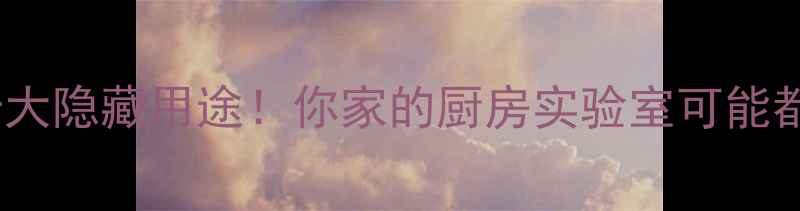 图片 🔥盐酸工业的十大隐藏用途！你家的厨房实验室可能都在偷偷用它！2.jpg