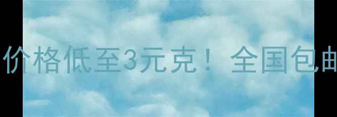 图片 🔥过氧化二苯甲酰厂家直销｜价格低至3元克！全国包邮支持定制（附采购全攻略）1.jpg