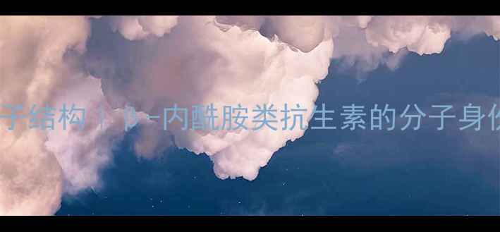 图片 🔬美罗培南分子结构｜β-内酰胺类抗生素的分子身份证大公开🔬1.jpg